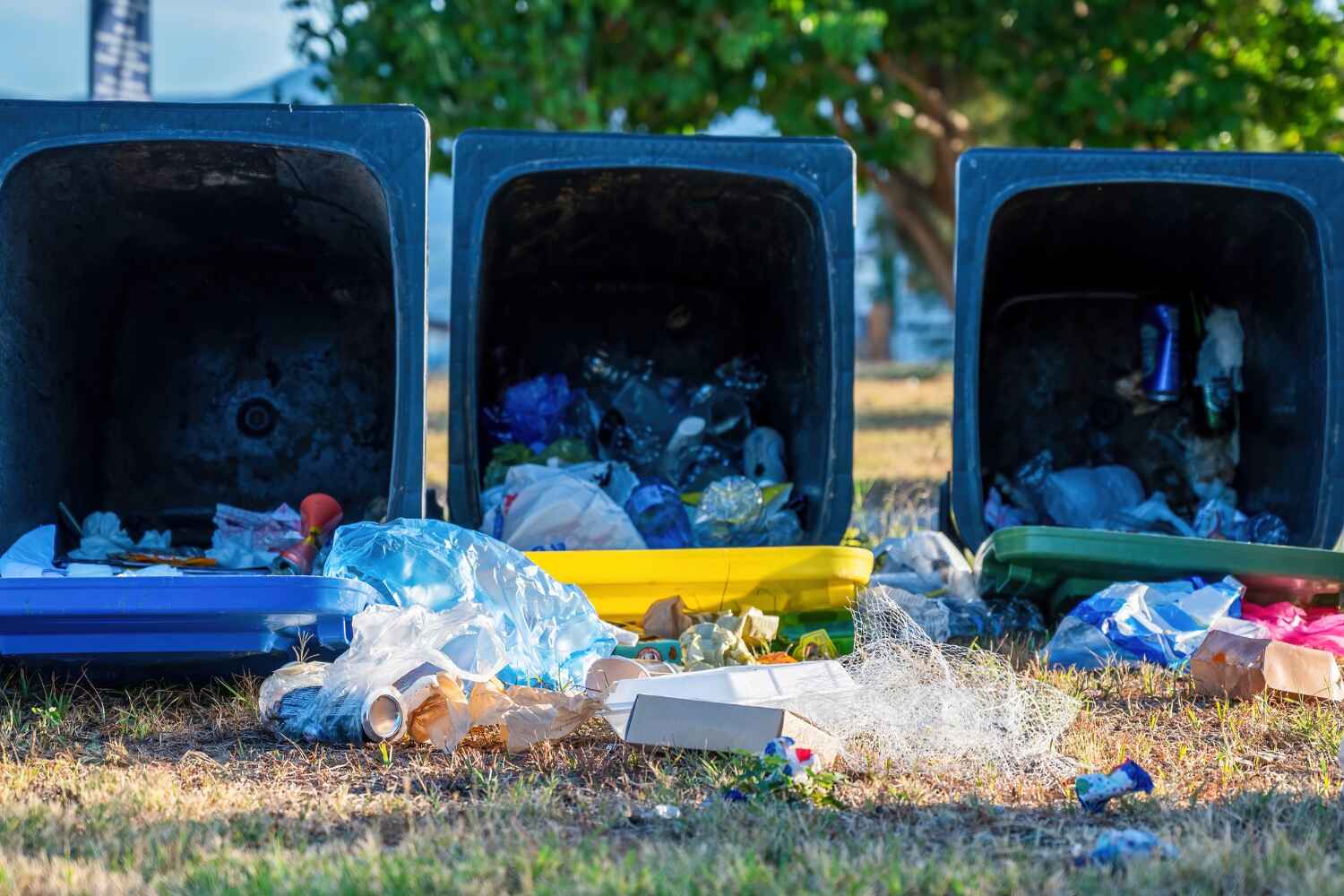 Best Yard Waste Removal  in Kapaa, HI